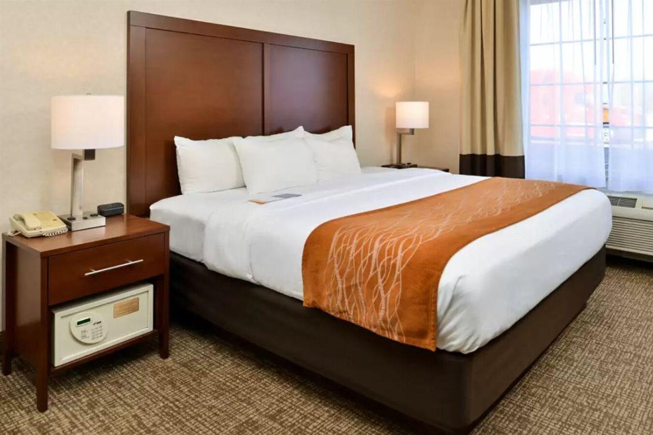 Comfort Inn & Suites Madison North Deforest Buitenkant foto
