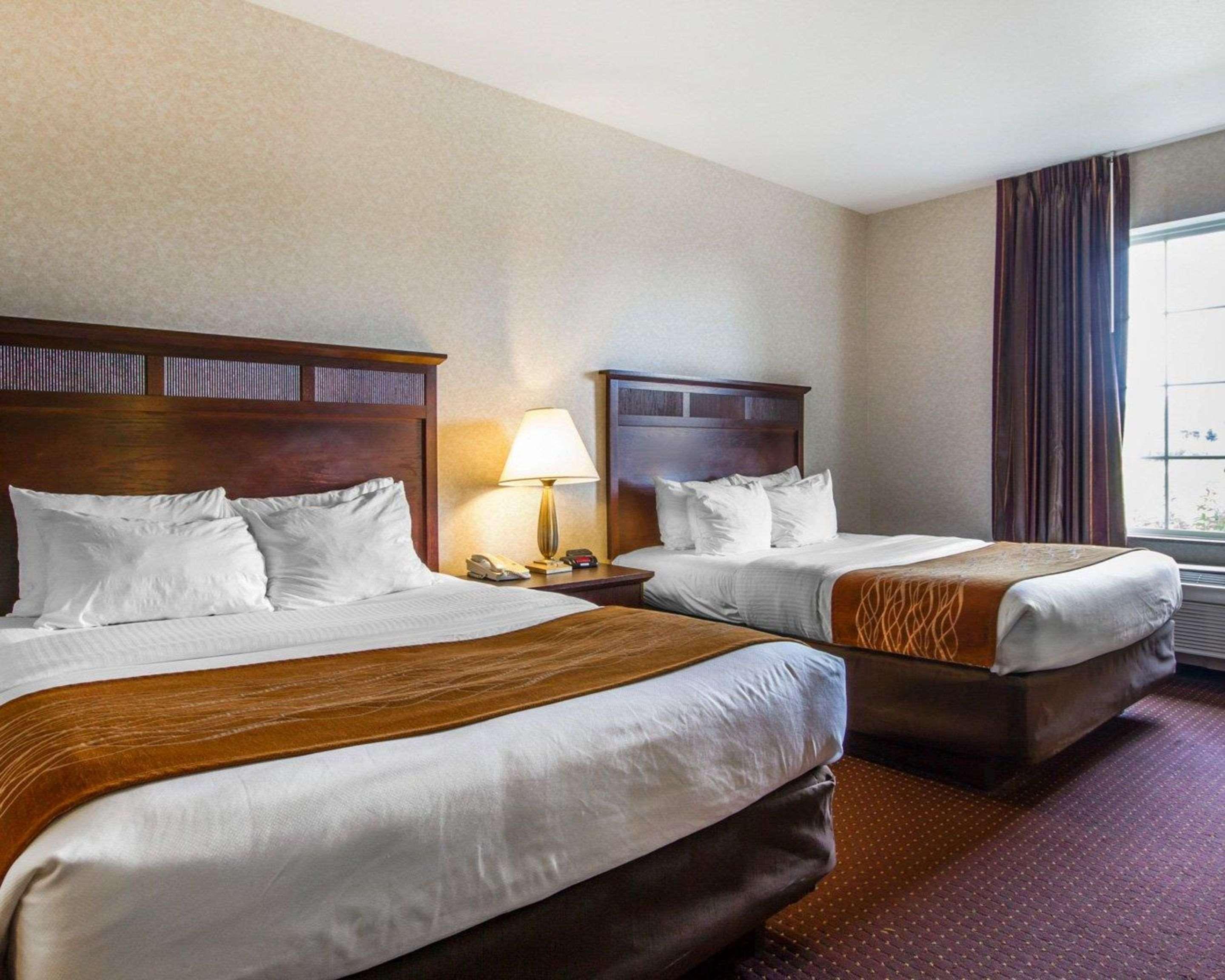 Comfort Inn & Suites Madison North Deforest Buitenkant foto
